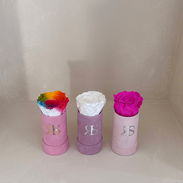 3 Flowerboxen Ivy collectie Rosuz - all